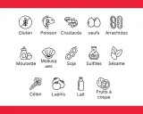Icônes représentant une liste d'allergènes courants : gluten, poisson, crustacés, œufs, arachides, moutarde, mollusques, soja, sulfites, sésame, céleri, lupins, lait, fruits à coque.